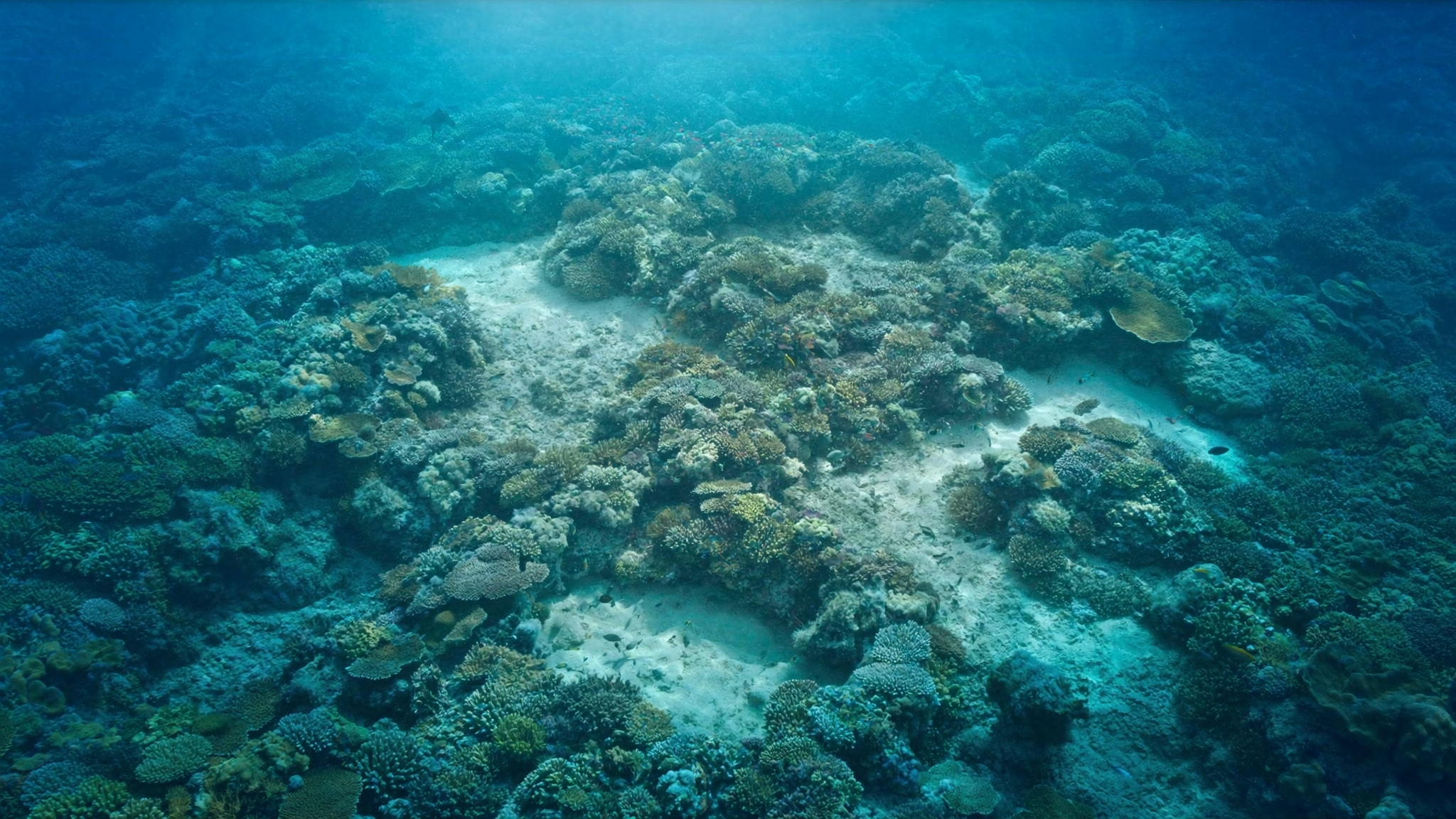 Sailing activities in the Whitsundays